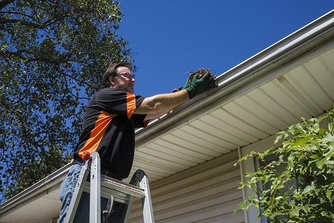 repairman using a ladder to access a damaged gutter for repair in Albion