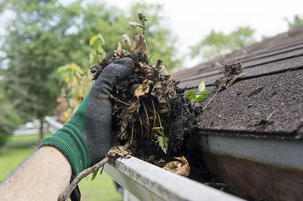 regular gutter cleaning can prevent water damage by allowing proper drainage